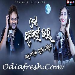 Mo Punei Janha - Odia Song